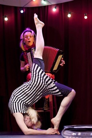 Affiche de Les Z'ateliers Zèbre : Tu fais du cirque ? Moi aussi !