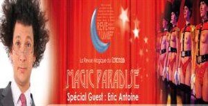Affiche de Magic Paradise