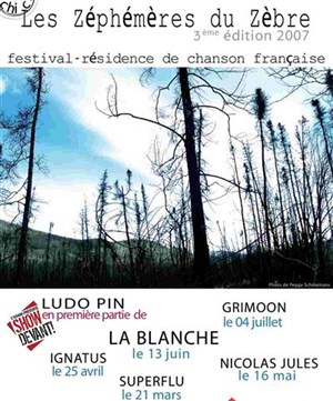 Affiche de Les Zéphémères du Zèbre - Ludo Pin & Grimoon, avec Imbert Imbert