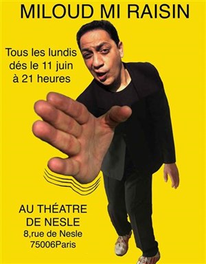 Affiche de Miloud dans Miloud Mi Raisin | Theatre de nesle
