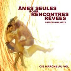 Affiche de Ames seules pour rencontres rêvées