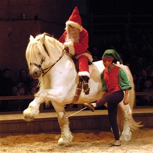 Affiche de Noël, le cheval et l'enfant - Merlin l'enchanteur | Domaine de Chantilly