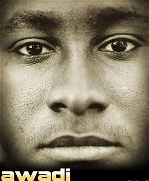 Affiche de Présidents d'Afrique