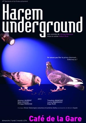 Affiche de Harem Underground
