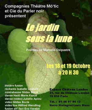 Affiche de Le jardin sous la lune