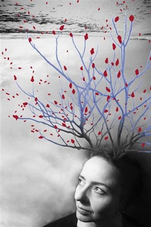 Affiche de sabine drabowitch