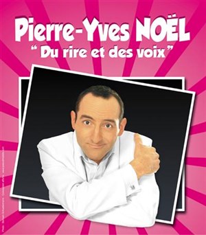 Affiche de Pierre-Yves Noël dans Du rire et des Voix