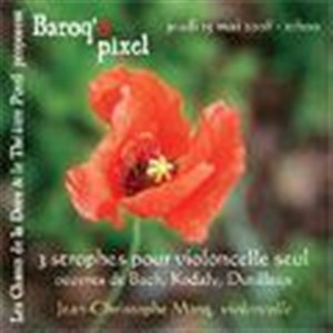 Affiche de Baroq'ô Pixel
