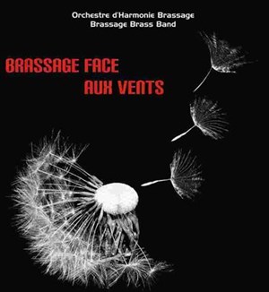 Affiche de Brassage Face aux Vents