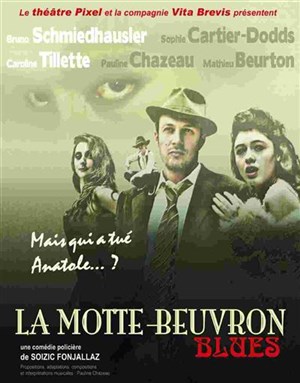 Affiche de La motte beuvron blues