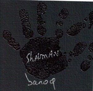 Affiche de ShAmAn Baroq