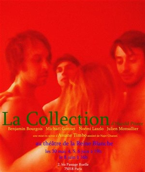 Affiche de La Collection de Pinter