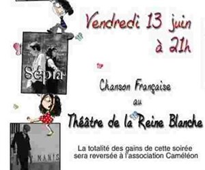 Affiche de concert de l'association caméléon