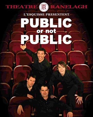 Affiche de Public or not Public