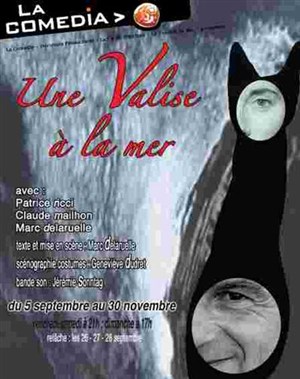 Affiche de Une Valise à la mer
