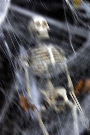 Affiche de Bones