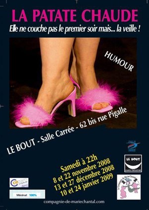 Affiche de Florence Feydel dans La patate chaude