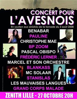 Affiche de Concert pour l'Avesnois, avec Benabar, Mc Solaar, Christophe Maé...