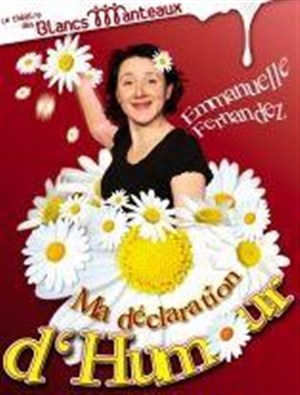 Affiche de E. Fernandez dans ma déclaration d'humour