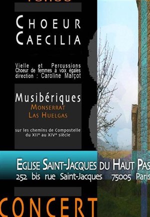 Affiche de Musibériques