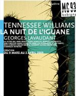 Affiche de La nuit de l'iguane