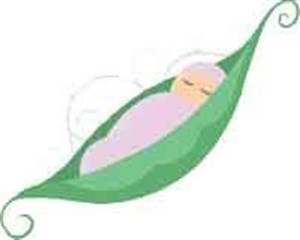 Affiche de Stage massage pour bebe