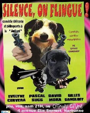 Affiche de Silence on Flingue