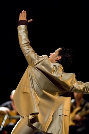 Affiche de Flamenco Vivo