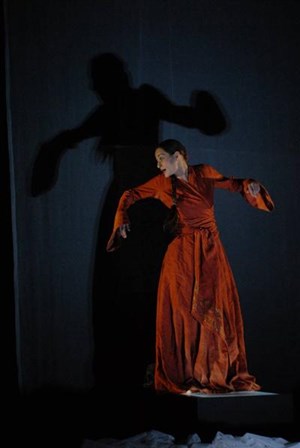 Affiche de Le cri d' Antigone | Salle Roquille