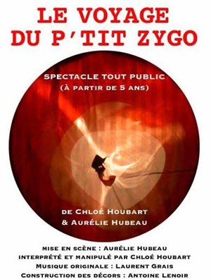 Affiche de Le voyage du P'tit Zygo