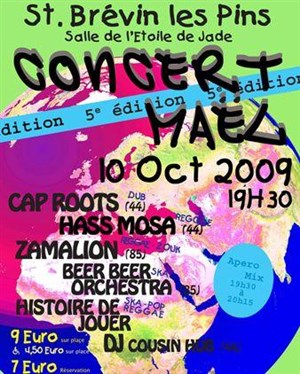 Affiche de Concert Maël