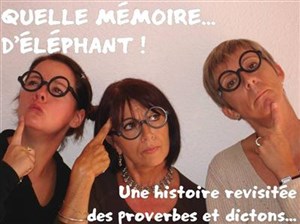 Affiche de Quelle Mémoire d'éléphant !