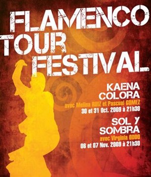 Affiche de Flamenco Sol y sombra | Théâtre de la Cité