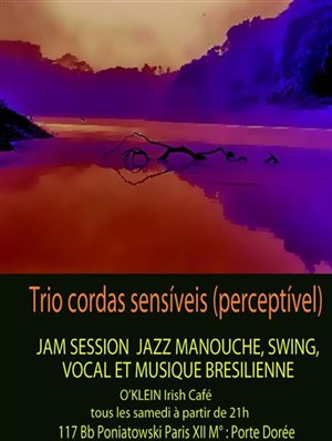 Affiche de Jazz manouche swing - musique brésilienne et vocal