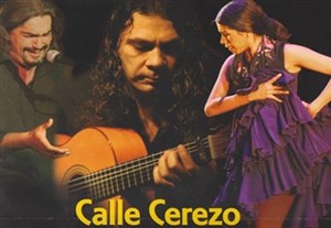Affiche de Soirée Flamenco