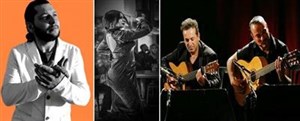 Affiche de Tablao Flamenco Traditionnel