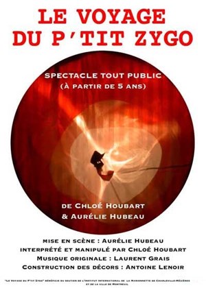 Affiche de Le voyage du Petit Zygo