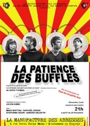Affiche de La patience des buffles