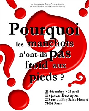 Affiche de Pourquoi les manchots n'ont-ils pas froid aux pieds ?