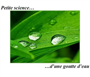 Affiche de Petite science d'une goutte d'eau