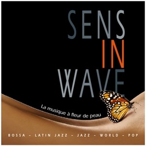 Affiche de Sens in wave
