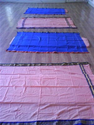 Affiche de Cours de Hatha-Yoga