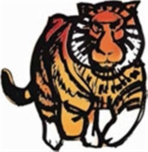 Affiche de Le tigre