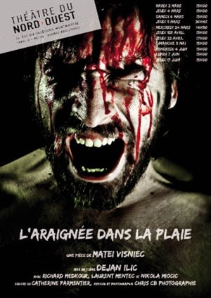 Affiche de L'araignée dans la plaie