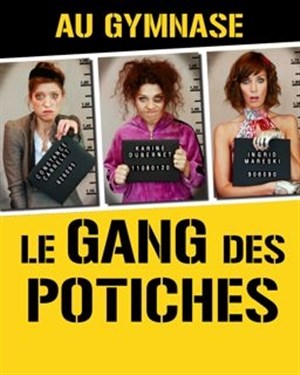 Affiche de Le gang des potiches