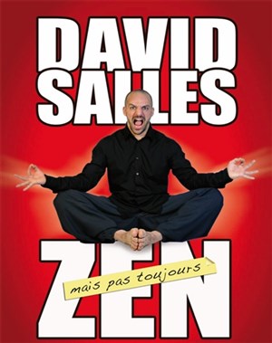 Affiche de David Salles dans Zen, mais pas toujours