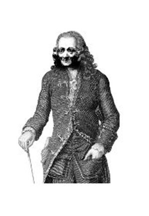 Affiche de Cher Voltaire