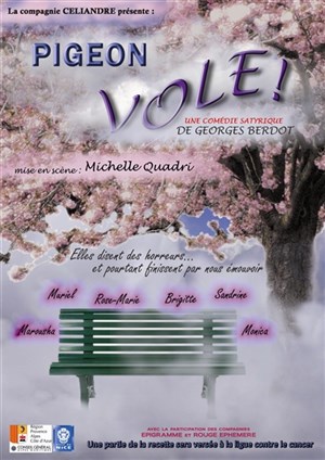 Affiche de Pigeon vole