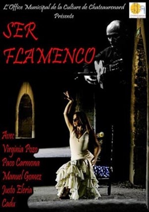 Affiche de Ser Flamenco