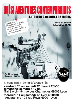 Affiche de (Mes) Aventures contemporaines autour de 5 frigos et 7 chariots